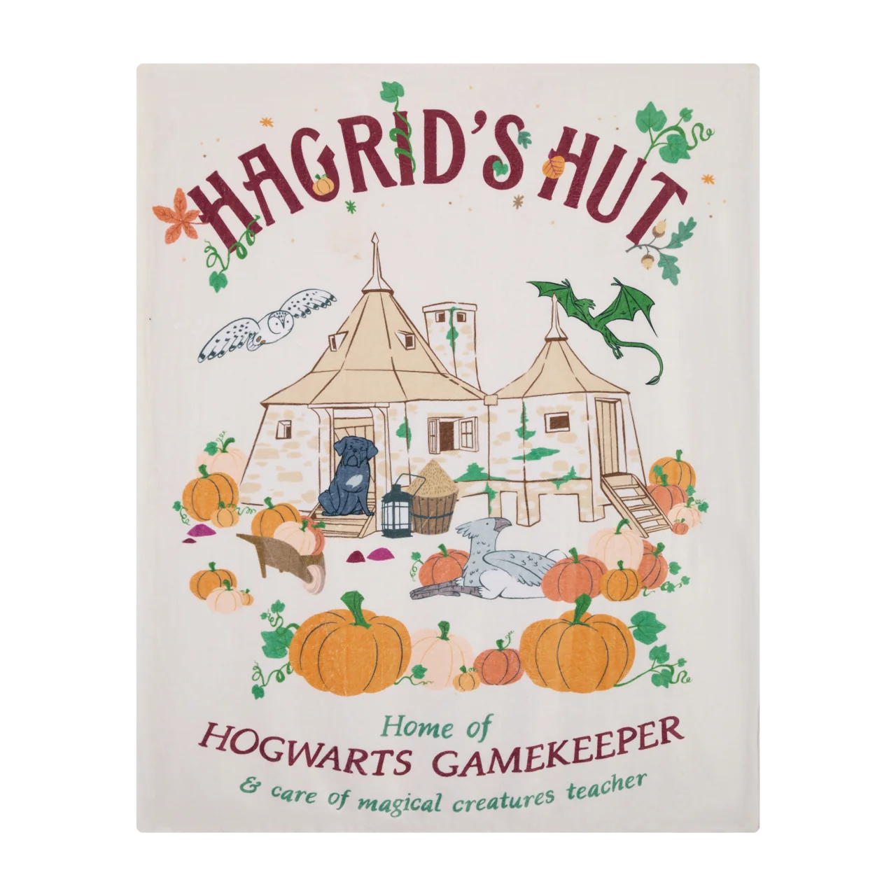 AUGUST 3 PREORDER - Harry Potter Japan - Hagrid's Hut Collection - Blanket