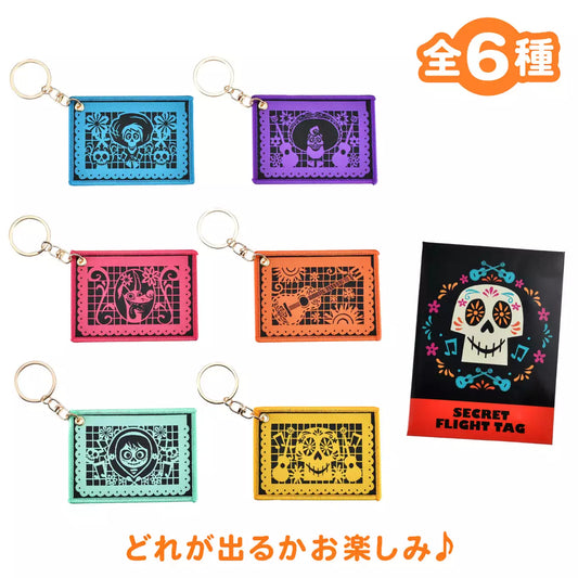 Japan Limited - Coco - Keychain Blind Box