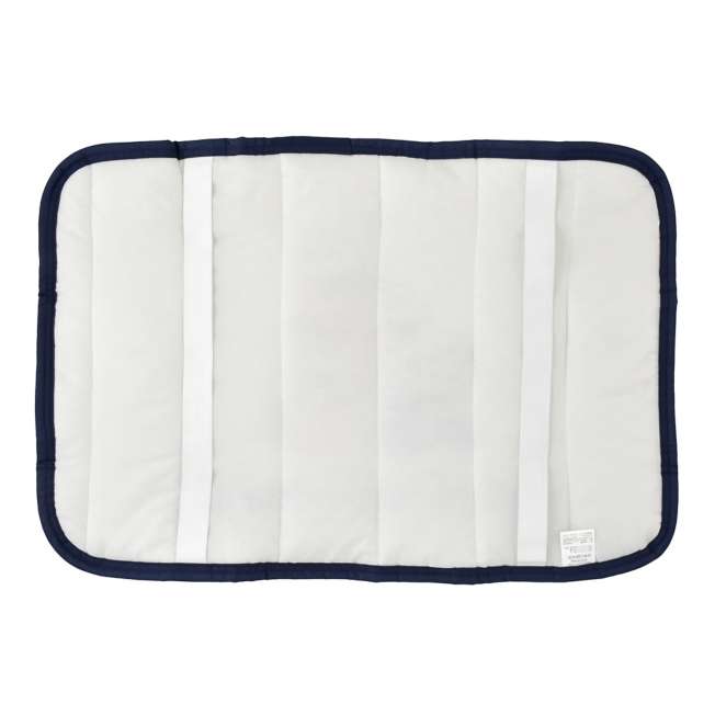 Japan Disney Store - Disney Cool Goods - Donald Duck Cooling Pillow Pad - Summer Sweets
