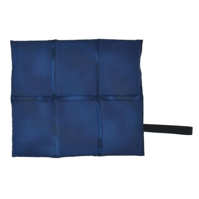 Japan Disney Store - Donald Fashion 2026 - Donald Duck - Seat Cushion in Pouch with Carabiner