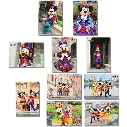 SEPT 18 PREORDER - Tokyo Disney Resort - Halloween 2025 - Photo Set
