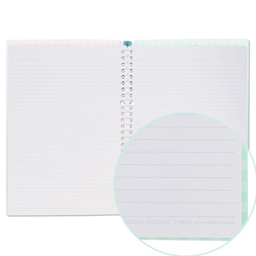 DEC 11 PREORDER - Tokyo Disney Resort - Park Icons - B5 Binder