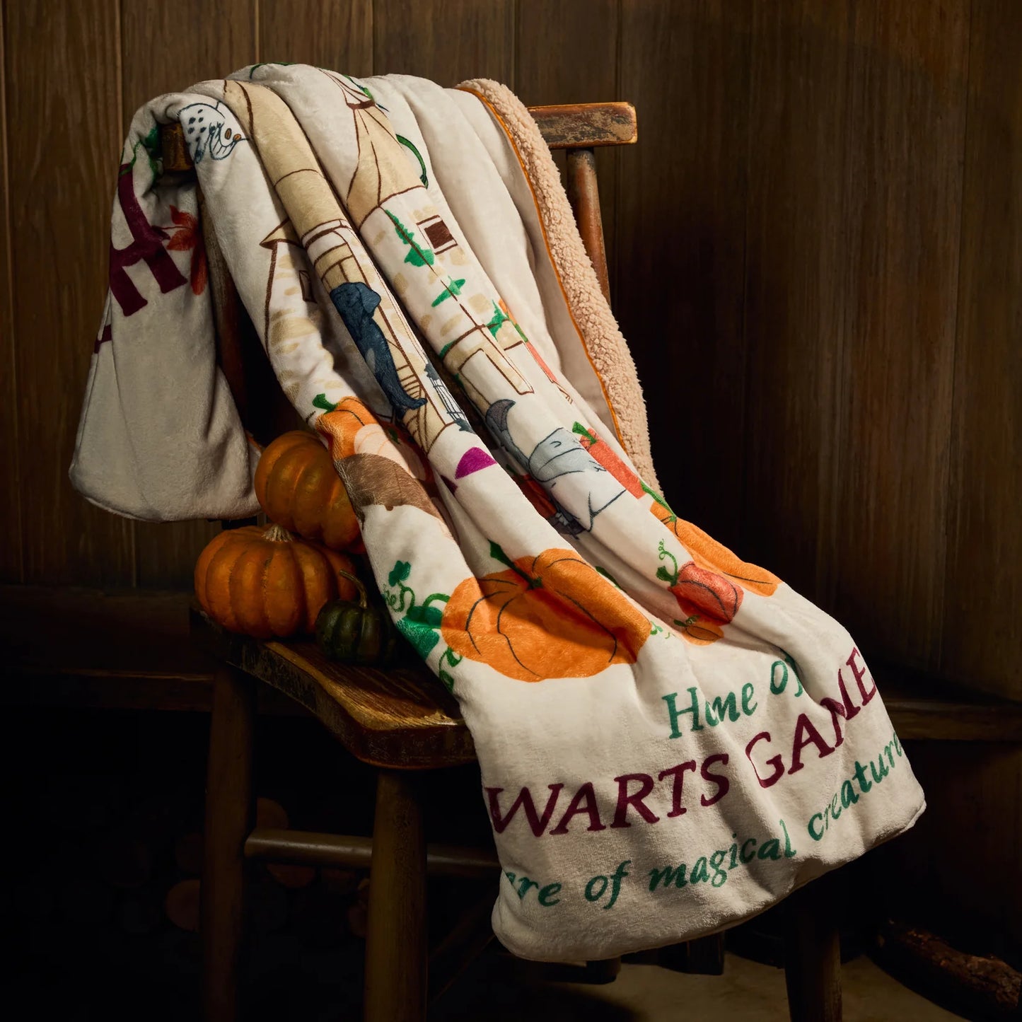 AUGUST 3 PREORDER - Harry Potter Japan - Hagrid's Hut Collection - Blanket
