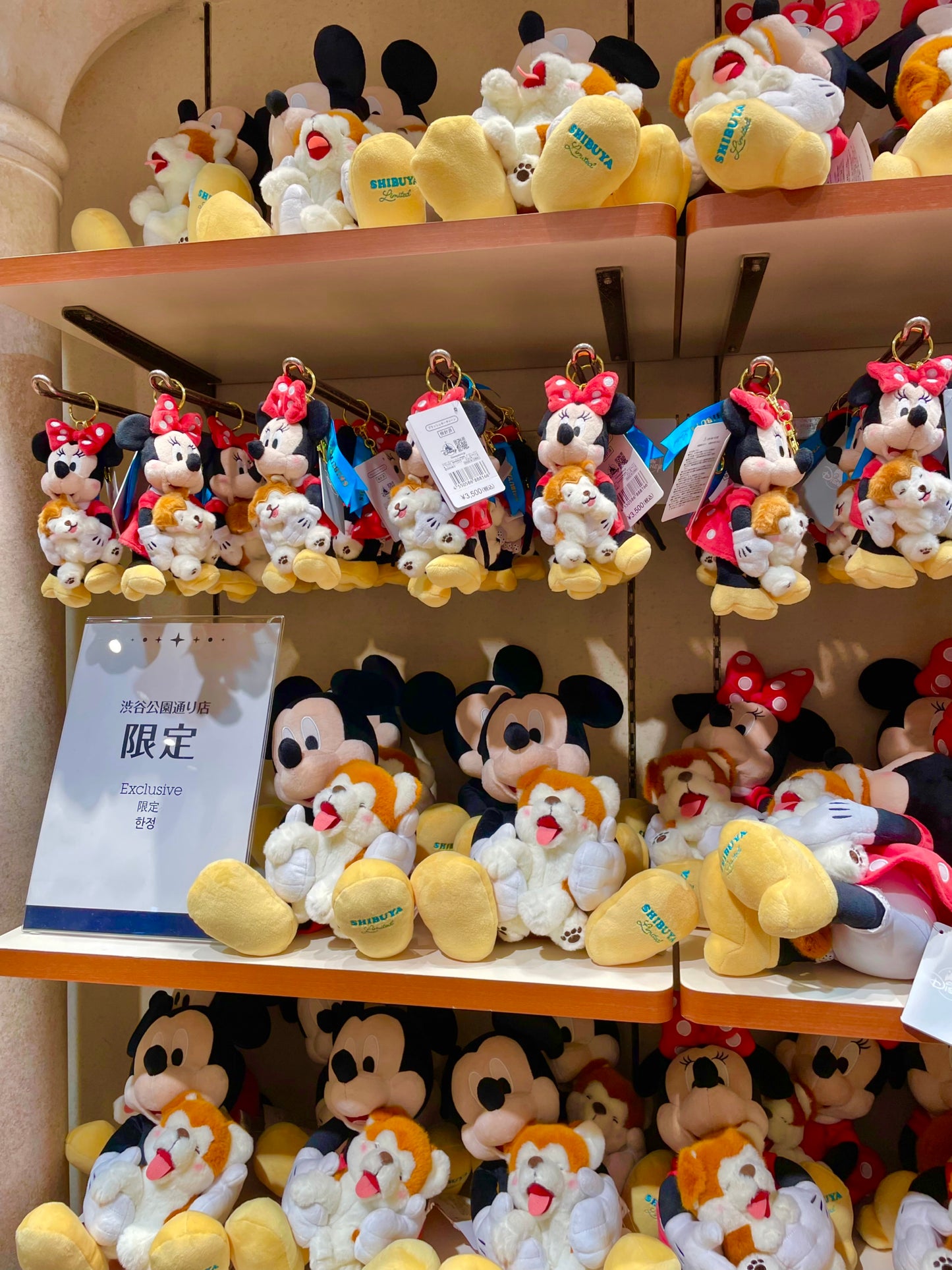 JAPAN LIMITED - Minnie / Mickey - Shibuya Store - Shiba Collection