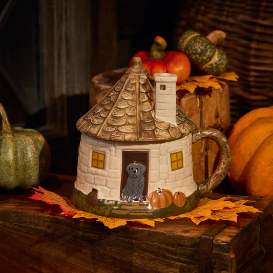 AUGUST 3 PREORDER - Harry Potter Japan - Hagrid's Hut Collection - Mug