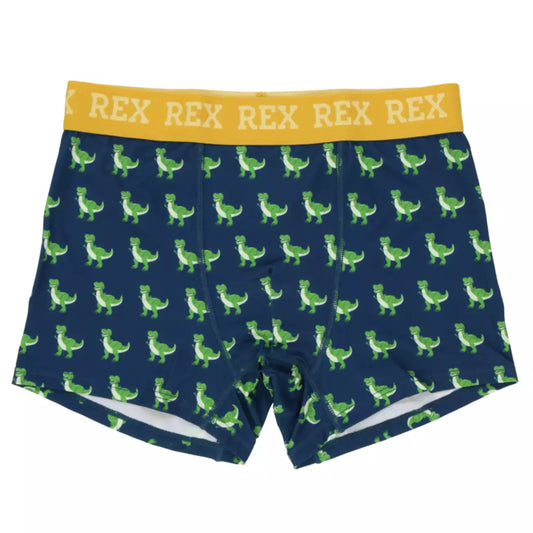 Tokyo Disney Resort - Toy Story - Rex - Unisex Boxer Shorts