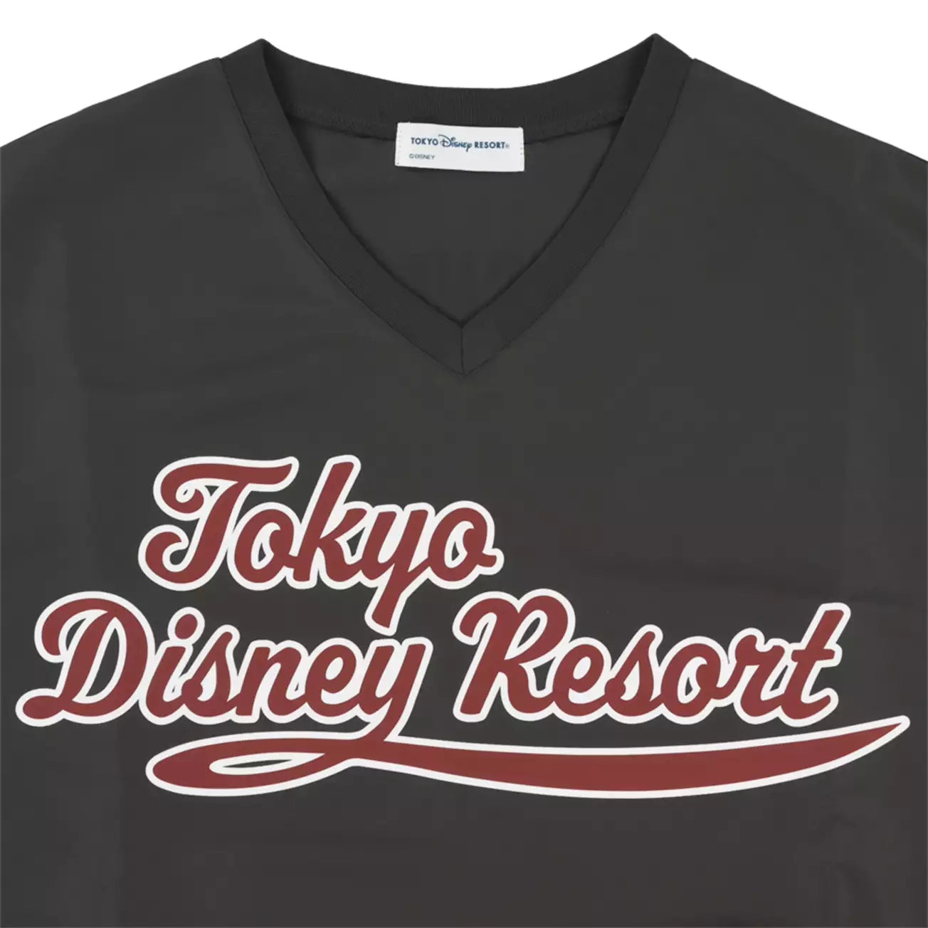 Tokyo Disney Resort - Mickey & Friends - Long-sleeved Oversized Unisex Sweatshirt